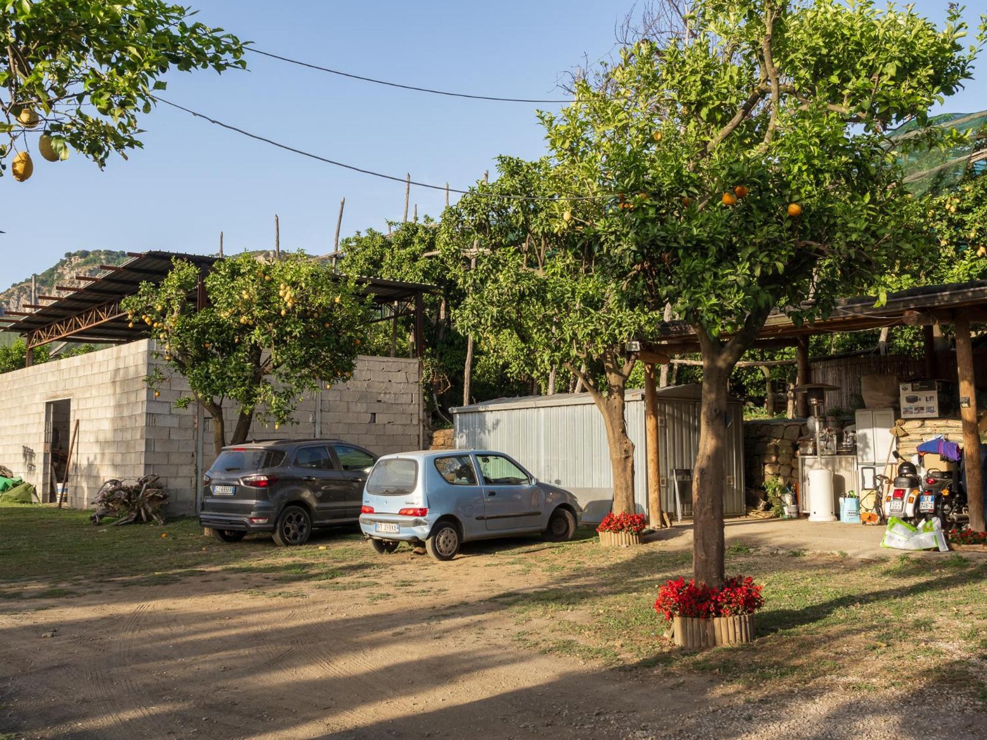 Villa Giardino Di Nonno Lucio - Surrounded By Lemon Tree Piano di Sorrento Exterior foto