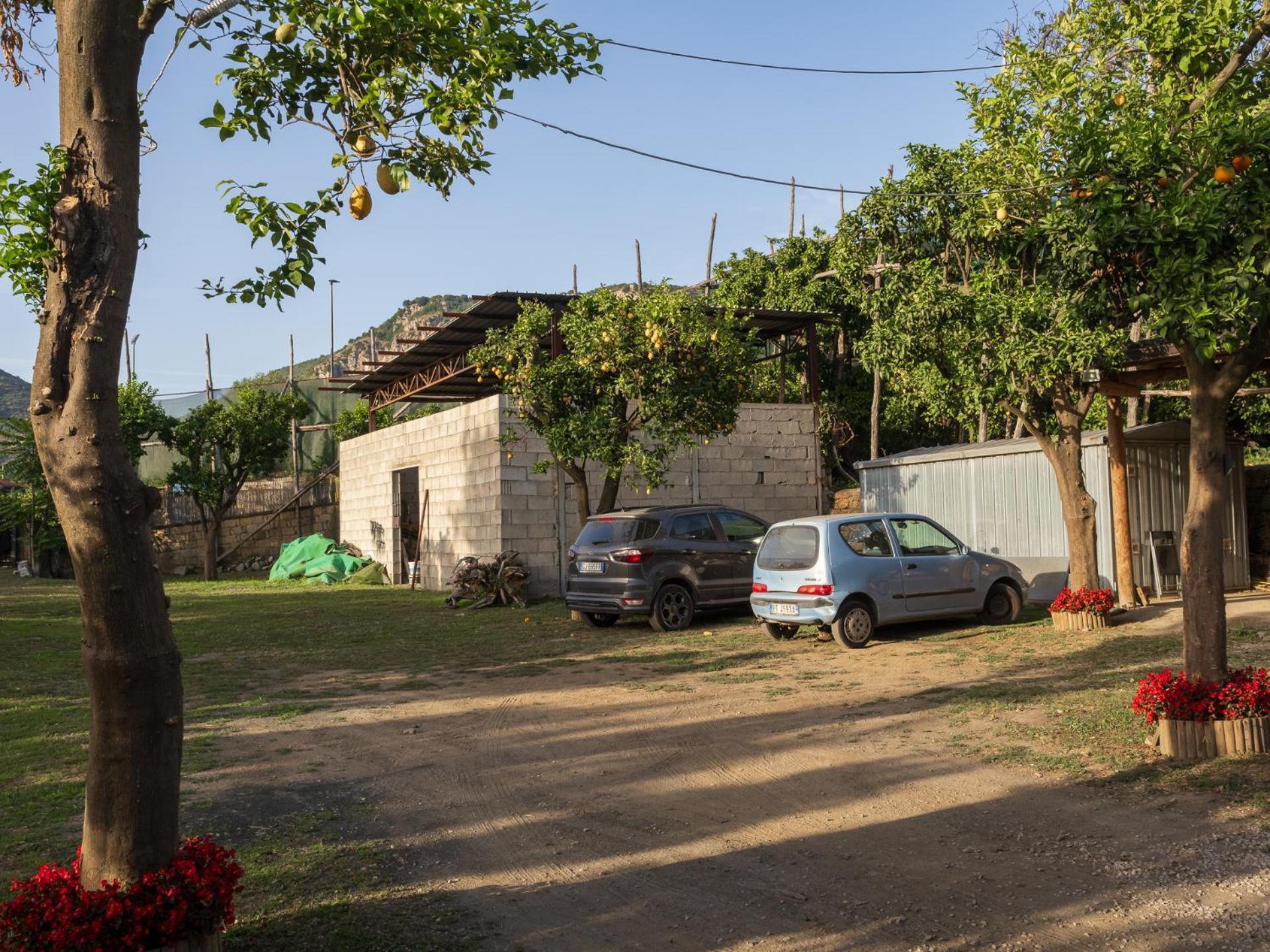 Villa Giardino Di Nonno Lucio - Surrounded By Lemon Tree Piano di Sorrento Exterior foto