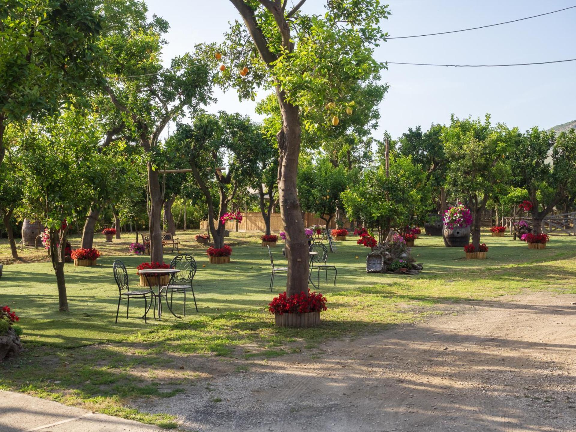 Villa Giardino Di Nonno Lucio - Surrounded By Lemon Tree Piano di Sorrento Exterior foto